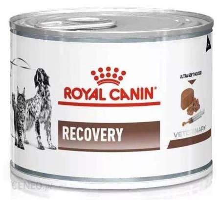 Royal canin veterinary diet recovery puszka 195g