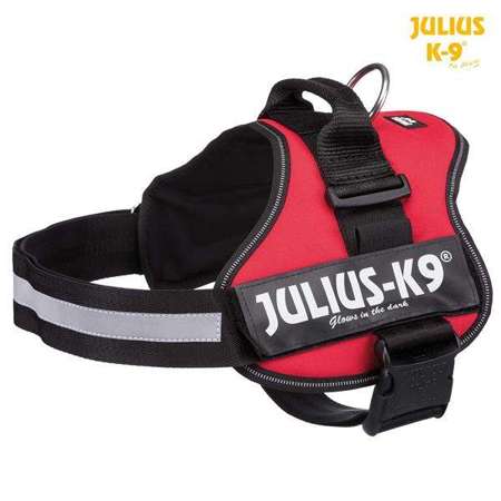 Uprząż Julius-K9 , Baby 1/XS: 30–40 cm, czerwona