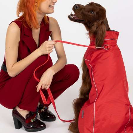 amiplay Dublin płaszcz dla psa czerwony 70 cm