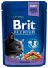 Brit cat for wellness & beauty dorsz 100g