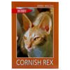 Cornish rex